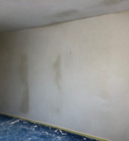 Renovatie woning met rond plafond