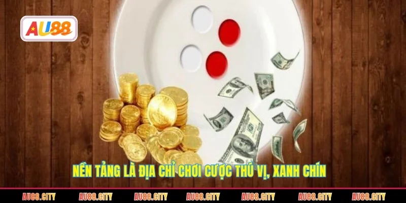 Nền tảng là địa chỉ chơi cược thú vị, xanh chín